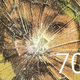 Image for article titled The Top 100 Science Fiction/Fantasy Shows: #61 Through 70